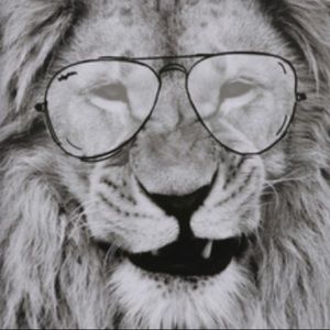 Meet your Posher, Demi